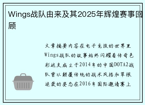 Wings战队由来及其2025年辉煌赛事回顾